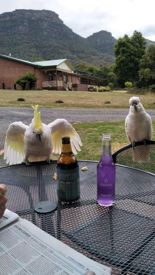 Halls Gap Valley Lodges エクステリア 写真